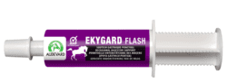 Ekygard Flash