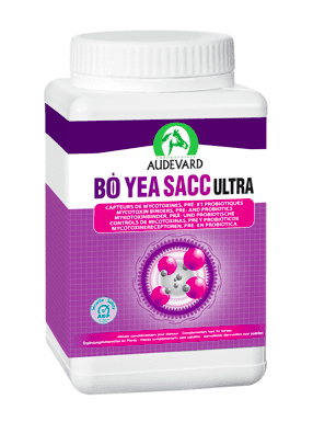 Bo Yeas Act Ultra