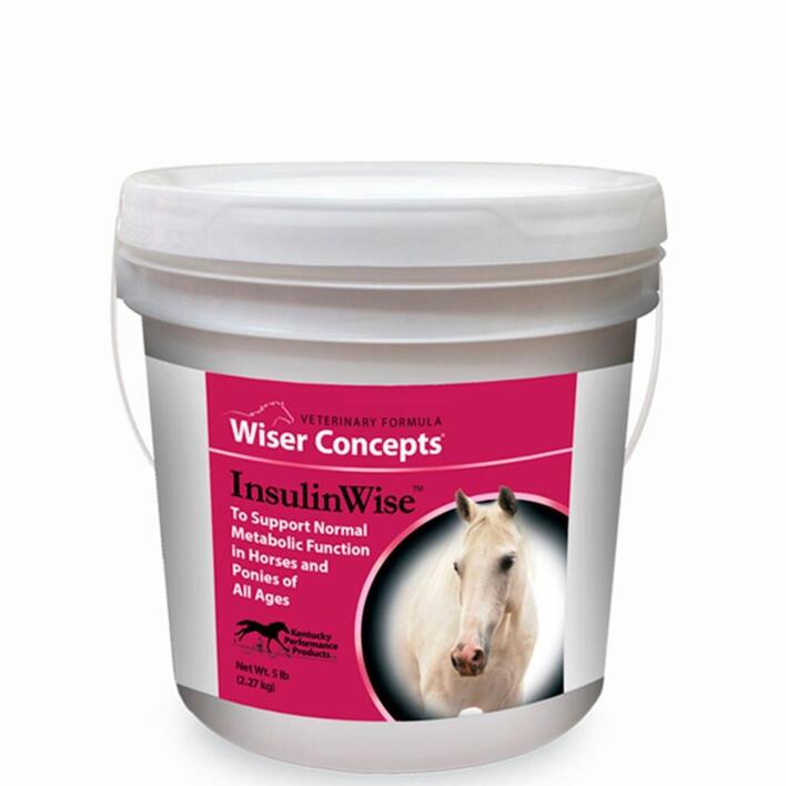 InsulinWise