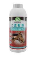 Zzen
